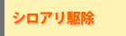シロアリ駆除