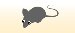 クマネズミ